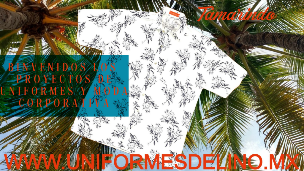 DISEÑO FABRICACION Y VENTA DE ROPA DE LINO UNIFORMES DE LINO CAMISAS DE LINO BLUSAS DE LINO GUAYABERAS DE LINO PANTALONES DE LINO Y ROPA CASUAL DE ALGODON EN MEXICO